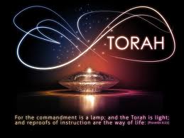 torah light